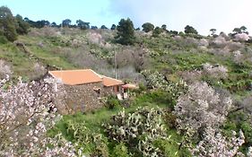 Casa rural La Jarita